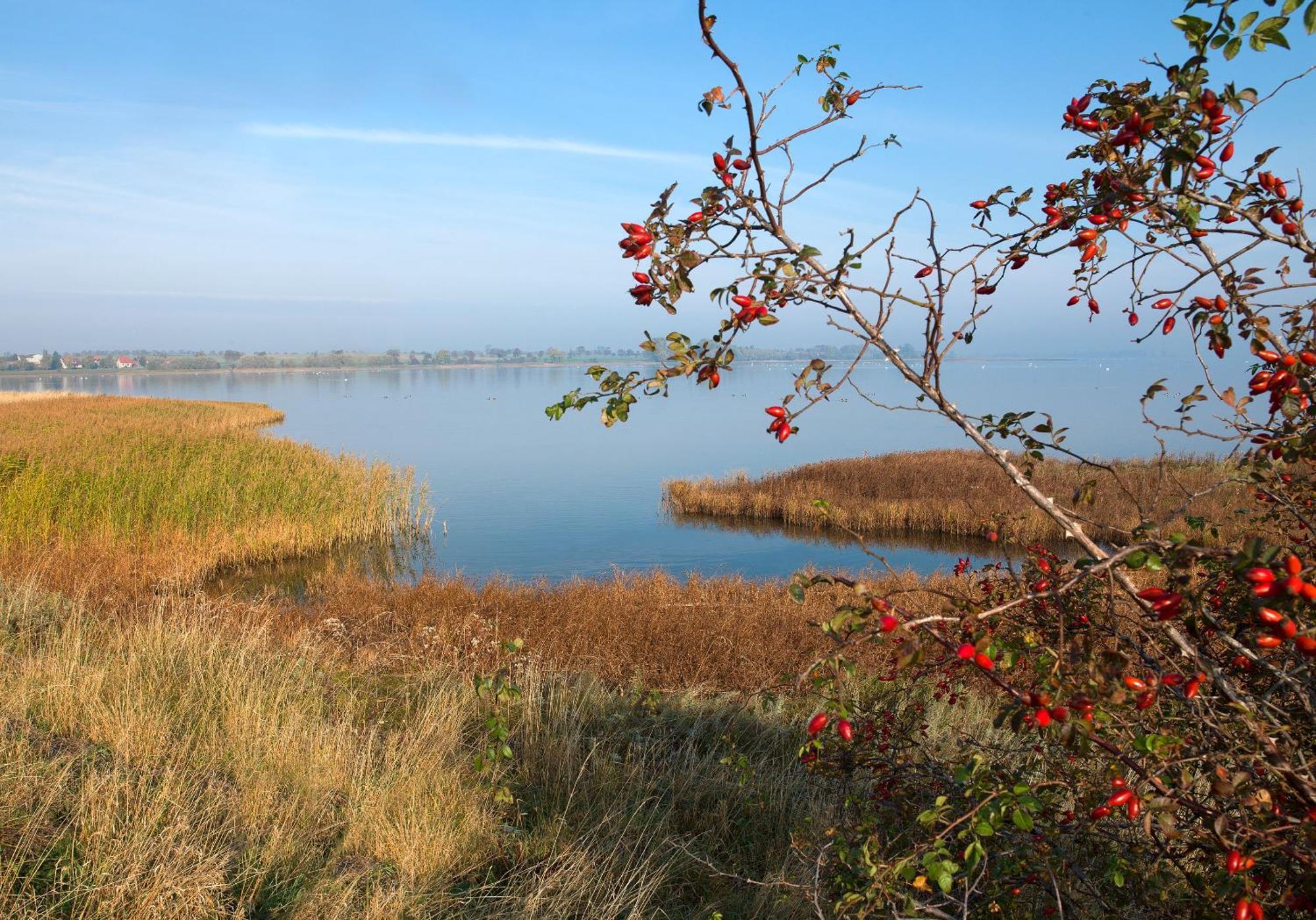 Gaude Tiet Apartment Insel Poel Bagian luar foto