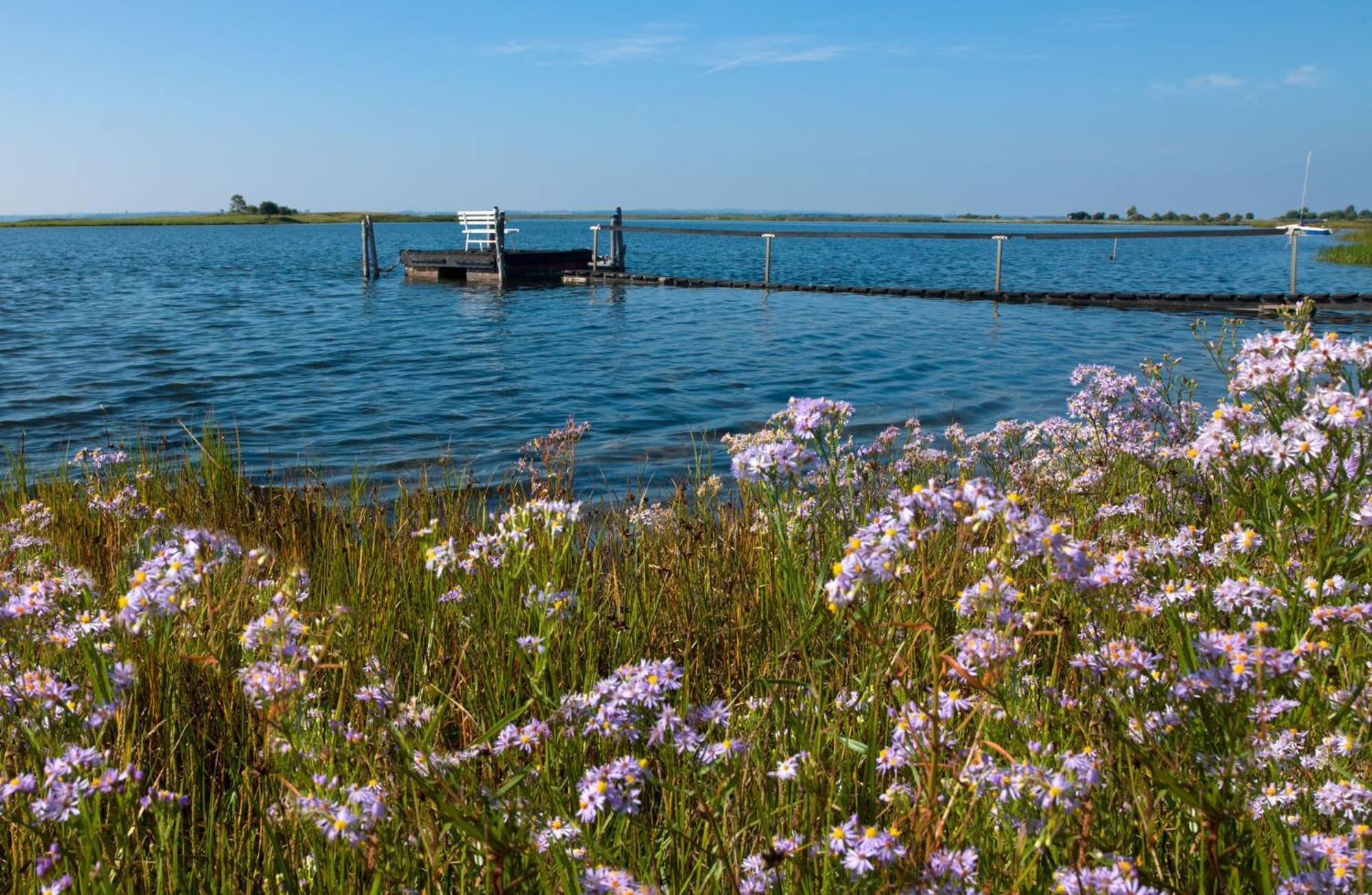 Gaude Tiet Apartment Insel Poel Bagian luar foto
